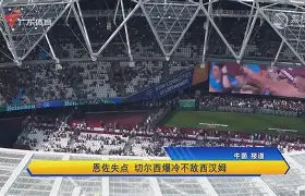  胶东雄鲨队爆冷庐州山猫队，高尔夫热身赛上演耐力碾压对手！更衣室氛围正向